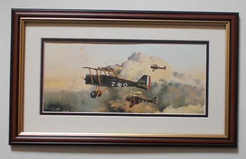 Aircraft print dawn - ,