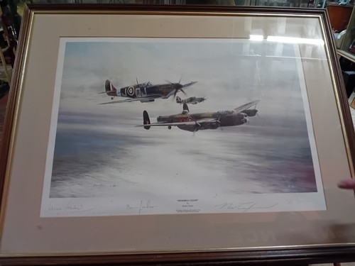 Memorial flight print - 'memorial, flight'