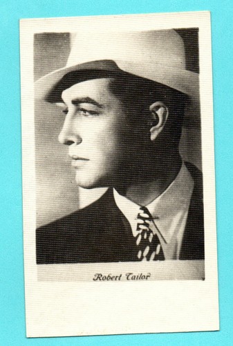 Robert taylor vintage photo - taylor,