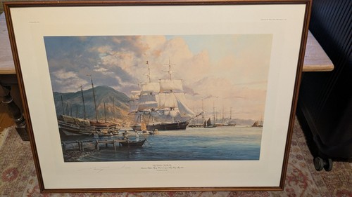 Flying cloud print limited - flying,