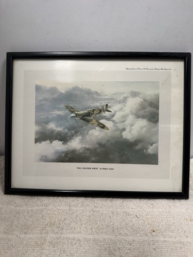 Foul weather sortie - foul, by
