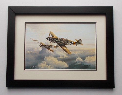 X17 aircraft print framed - 13"x17",