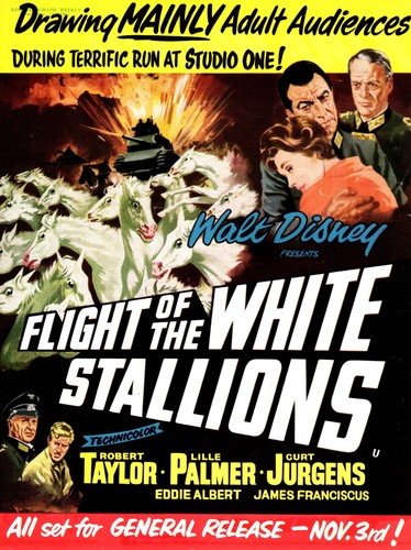 Flight the white - of, stallions