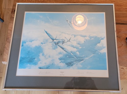Robert taylor spitfire large - taylor, 'spitfire'
