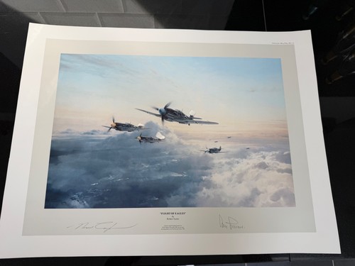 Flight eagles robert - flight,