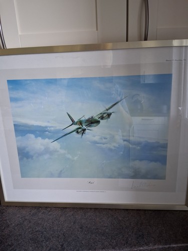 Robert taylor aviation print - robert,