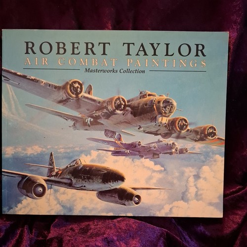 Air combat paintings - combat,