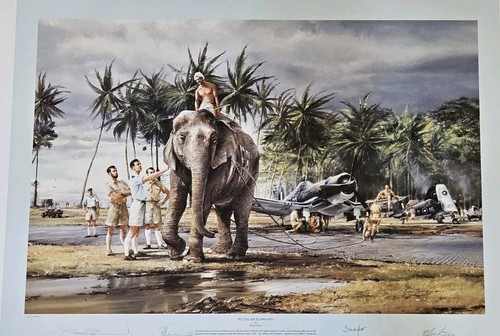 Puttalam elephants robert - elephants, by