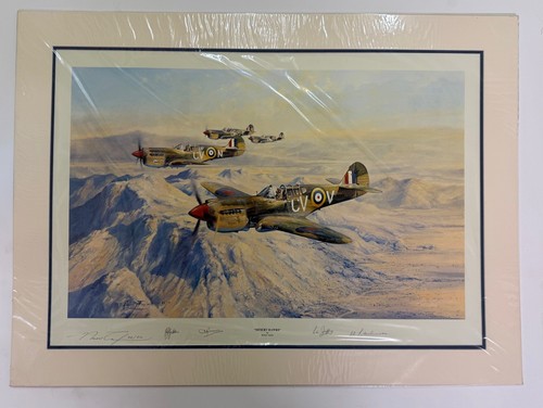 Desert hawks robert taylor - desert,